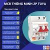 mcb-thong-minh-2p-tuya-wifi - ảnh nhỏ  1